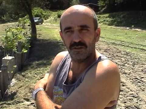 INVERZIJA – PLAŽA NA DUNAVU