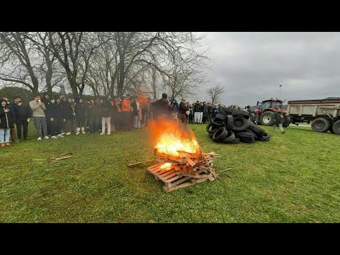 Video | Agricultural students protest cattle cull in southern France | AFP