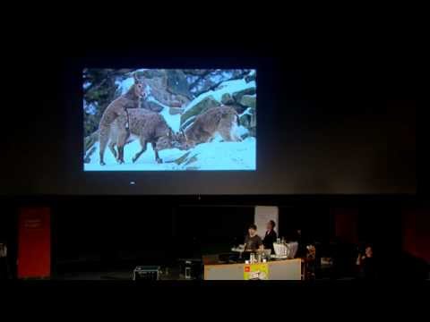 Science Slam 24.11.2012 - Roman Stilling