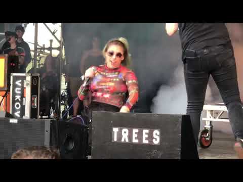 Vukovi - Animal (live at 2000 Trees, Jul ‘19)