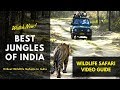 Top 13 Wildlife Sanctuaries In India Best Jungle Safari Tours 2024