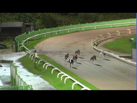 2020 RPGTV STAYERS TROPHY - HEAT 3 - T1 BLUE TICK GEORGE