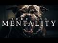 TRUE DOG MENTALITY Best Motivational Video Speeches Compilation