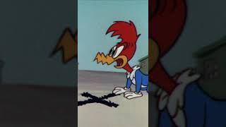 Pica-Pau Encontra um Tesouro #shorts