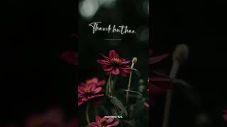 Download lagu 💕𝙋𝙖𝙧𝙖 𝙋𝙖𝙧𝙖 𝙋𝙖𝙧𝙖𝙫𝙖𝙞 𝙊𝙣𝙙𝙧𝙪 𝙎𝙤𝙣𝙜 🎶𝙒𝙝𝙖𝙩𝙨𝘼𝙥𝙥 𝙎𝙩𝙖𝙩𝙪𝙨 𝙏𝙖𝙢𝙞𝙡 𝘿𝙚𝙘𝙚𝙣𝙩 𝙈𝙪𝙨𝙞𝙘 𝙏𝙖𝙢𝙞𝙡 #tamil #trending #love #song mp3