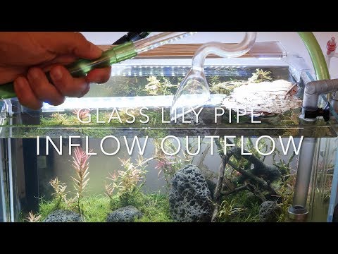 Glass lily pipe set for nano aquarium