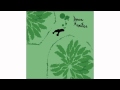 Animal Collective - Essplode
