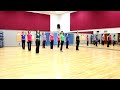 All The King's Horses - Line Dance (Dance & Teach in English & 中文)