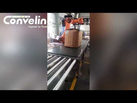 Belt Conveyors Systems