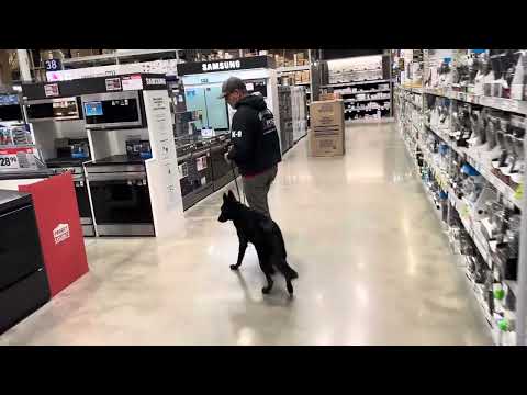 Real Life Focus In A Store With "Darryl"