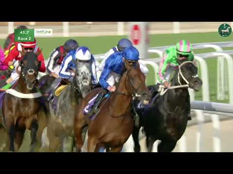 1351ターフスプリント（G3） 2022/2/26(土) | 日程・結果 | JRA-VAN