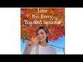 Wig Unboxing Jane By Envy Color Toasted Sesame