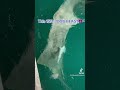 ABSOLUTELY GINORMOUS SAWFISH Caught Fishing in Key West! #fishing #shark #viral #fish #bwf #usa #uk