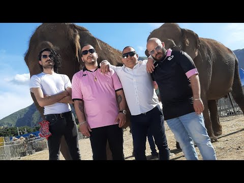 Freddie Sperone & Sciacato - MILIONE [Video Official] prod. Prince J Sick