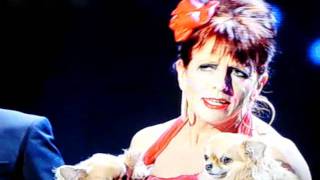 The Hoff  calls woman a cunt !