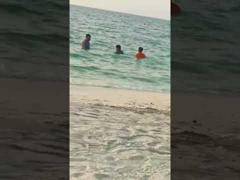 #shorts #subscribe #sharjahbeach#like