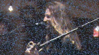 Jesse Roper   Any Time of Night April 30 2016