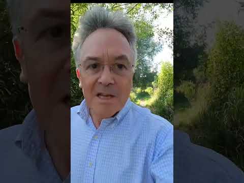 Sean O’Malley Eyes Swift Return After Hip Surgery