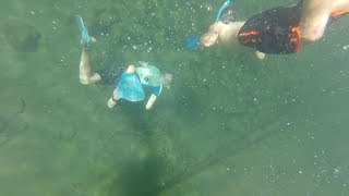 California Family Fun. Swim With The Fish. Warm Lake Clementine Sacramento GoPro Herping.