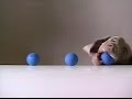 Sesame Street Fay Ray 3 Balls Addition