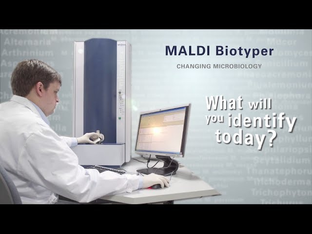 imagen-video-thefoodtech