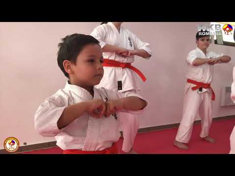 Examen de grad C.S. Spirit Dojo