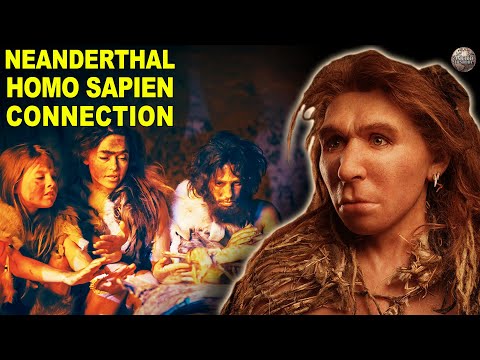 image-Are Neanderthals the same as Homosapien?