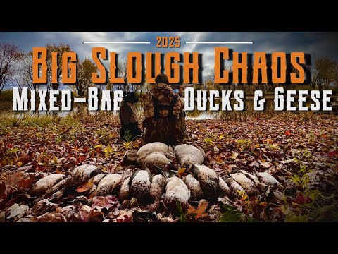 Mixed-Bag Chaos | Duck Hunting 2025 |Wood Ducks & Geese