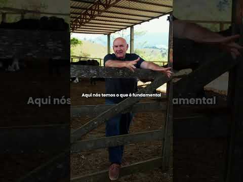 De volta a Santa Luzia, em Presidente Kennedy