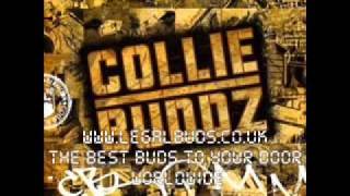 SOS - Collie Buddz - On The Rocks - 2009