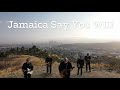 Los Lobos - "Jamaica Say You Will" Official Lyric Video