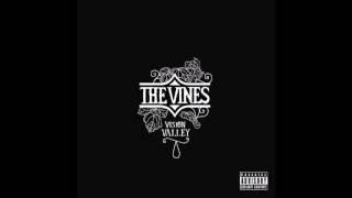 The Vines - Spaceship - Vision Valley