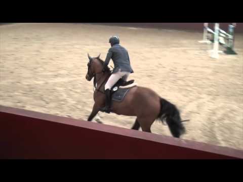 Chancenreich * 2011 Cellestial-Casall