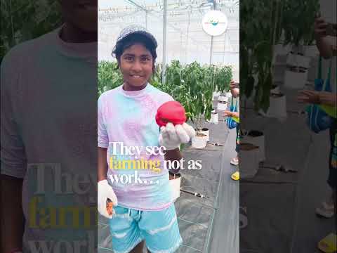 Where the Future of Farming Really Begins