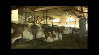 Veterinary Administration of the Republic of Slovenia