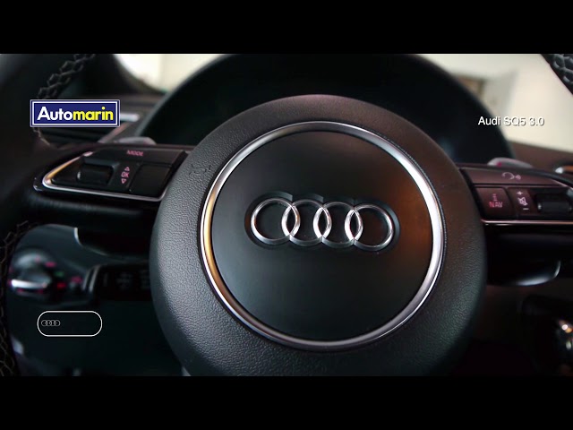 Automarin - Audi SQ5 3.0 Tdi S-tronic Sunroof-preview