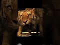 Hollywood Movie Seen 2022 New Movie Tonystark Newmovie Newscene Hotmovie Latest Movies