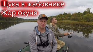 Где поймать щуку и окуня в марий эл