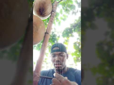 flexion et extension des cordes du mvet zikoko par Al Hassan Beal #NO FIANGA#