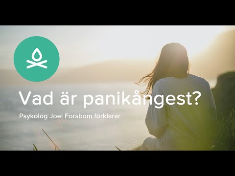 Vad är panikångest?