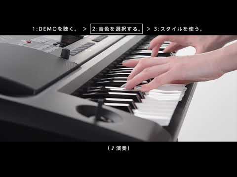KORG/キーボード/EK50 ｜鍵盤、電子ピアノ通販ottoピアノオンライン