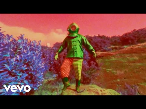 The Coral - Miss Fortune