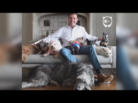 Guy Loves Adopting Old Animals