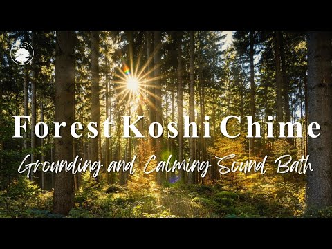 Forest Koshi Chime | Gentle & Grounding Sound Bath ???????? | 432 Hz