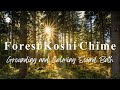 Forest Koshi Chime Gentle Grounding Sound Bath 432 Hz