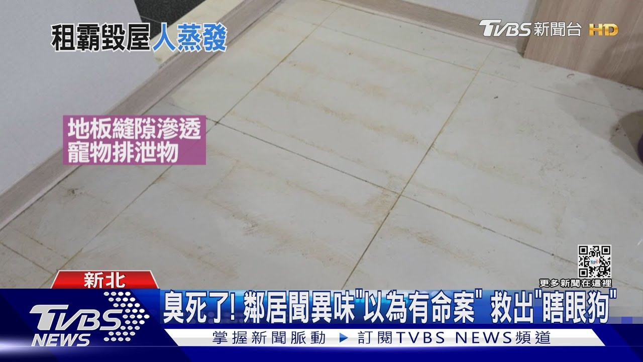 臭死了!鄰居聞異味「以為有命案」 救出「瞎眼狗」
