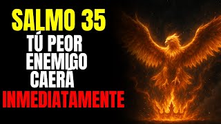 SALMO 35 para DESTRUIR y ¡DEVOLVER MULTIPLICADO x7 BRUJERIA y ATAQUE MALIGNOS al REMITENTE!