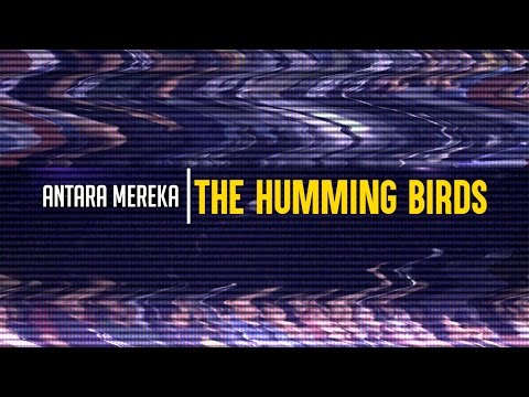 HUMMING BIRDS - Antara Mereka (Official Music Video)