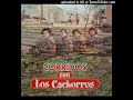 Los Cachorros De Juan Villarreal - Las Tres Tumbas / Corridos (Disco Completo)