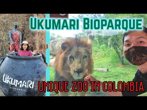 Ukumarí Bioparque | Unique zoo in Colombia | Exotic local animals and world's classics in one place!